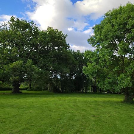 Gite De La Janiere Sainte-Luce-sur-Loire Ngoại thất bức ảnh