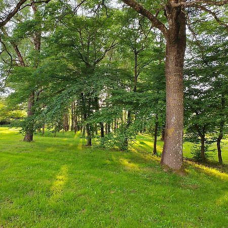 Gite De La Janiere Sainte-Luce-sur-Loire Ngoại thất bức ảnh
