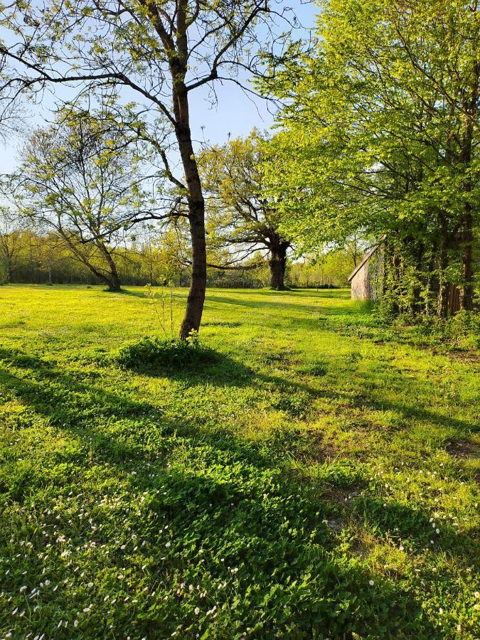 Gite De La Janiere Sainte-Luce-sur-Loire Ngoại thất bức ảnh