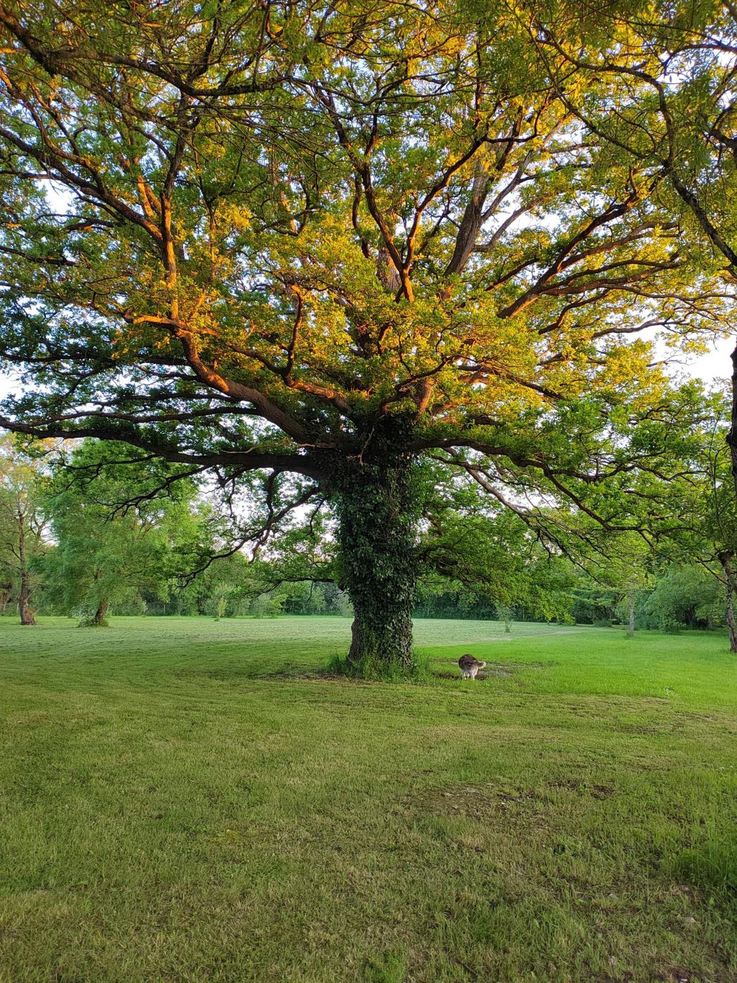 Gite De La Janiere Sainte-Luce-sur-Loire Ngoại thất bức ảnh