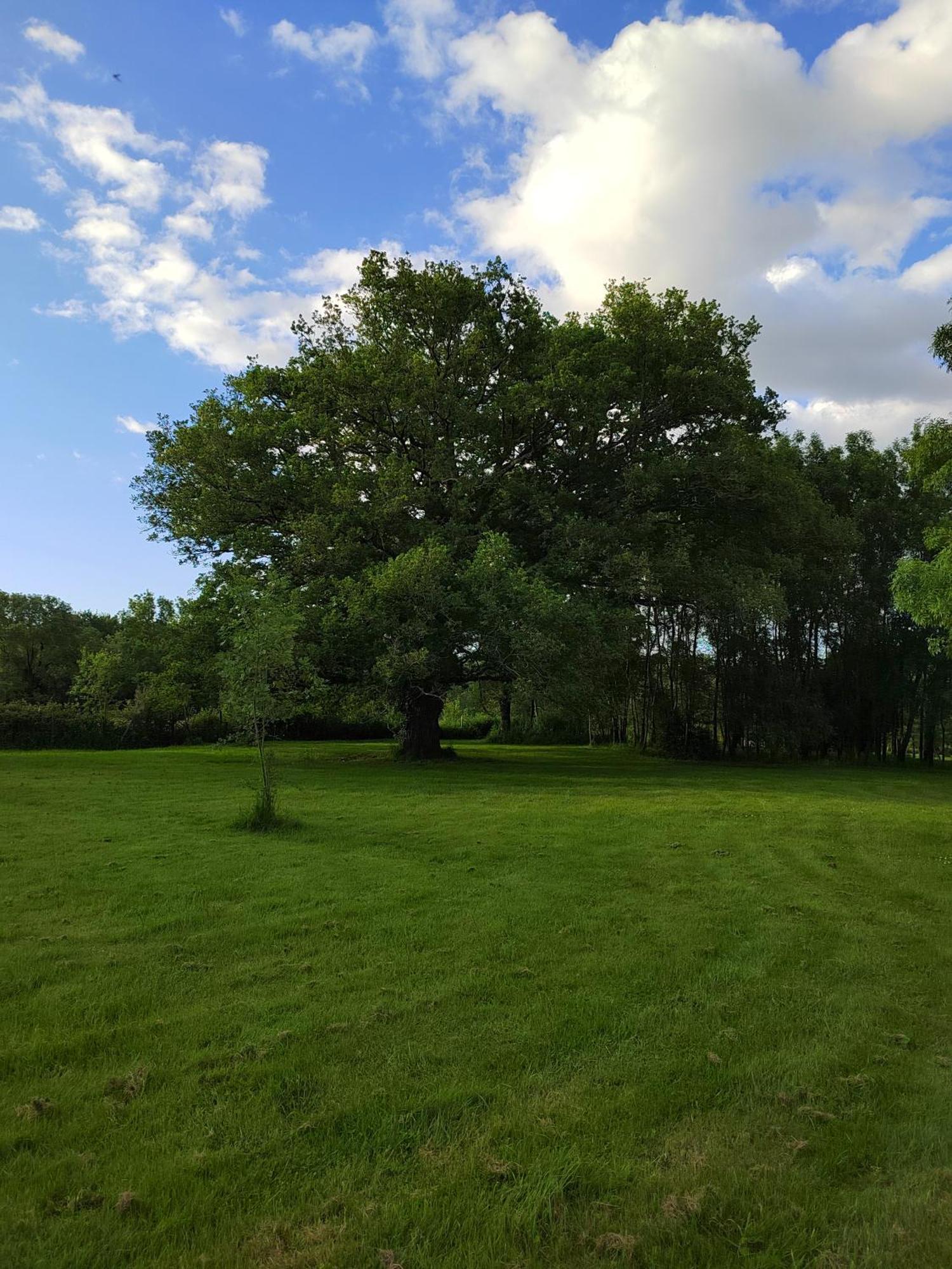 Gite De La Janiere Sainte-Luce-sur-Loire Ngoại thất bức ảnh